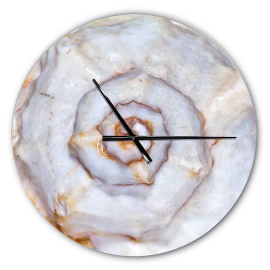 Designart Great Skeleton Of Sea Shell Modern Wall Clock